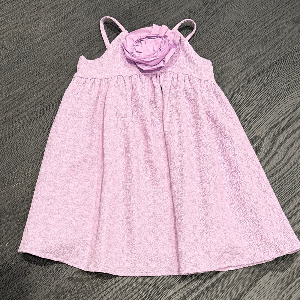 Purple Janie and Jack Dress